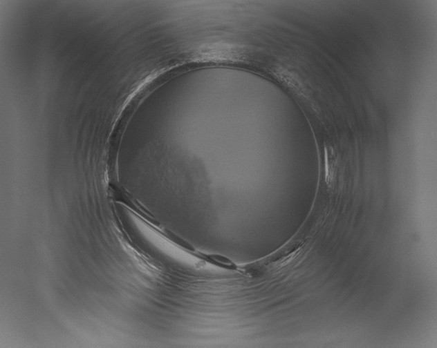 X0000051240204200507011635