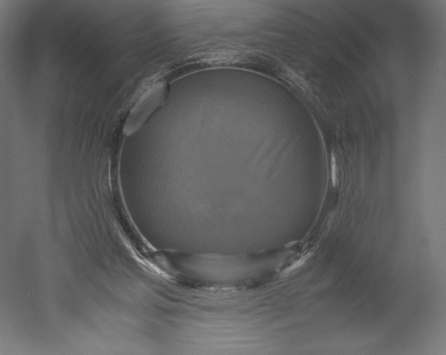 X0000051240205200507011635