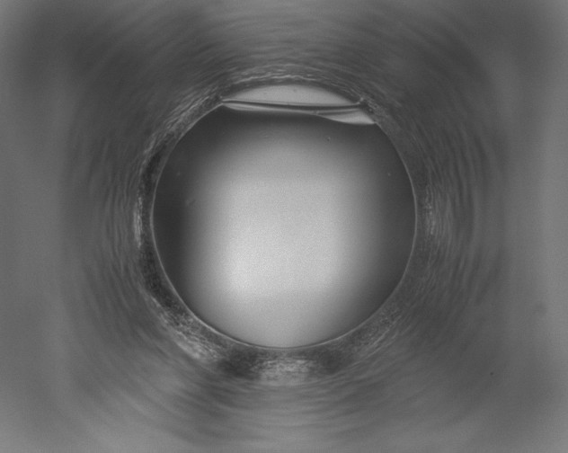 X0000051240206200507011635