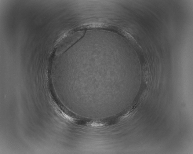 X0000051240207200507011635