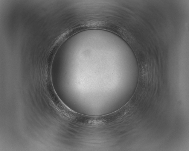 X0000051240208200507011635