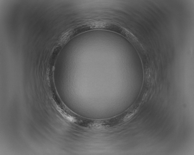 X0000051240209200507011635