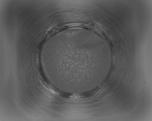 X0000051240211200507011635