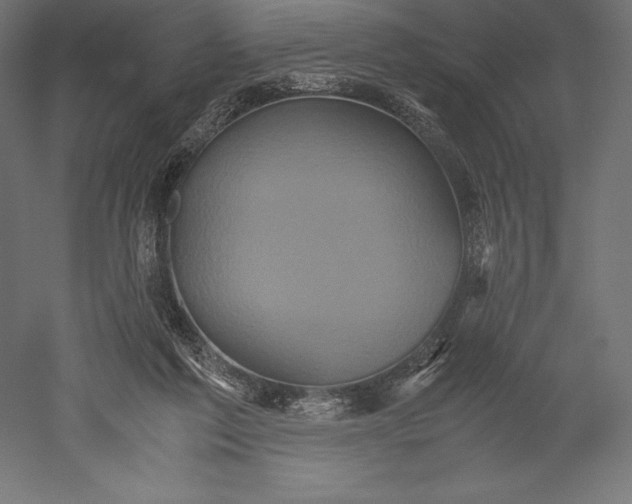 X0000051240213200507011635