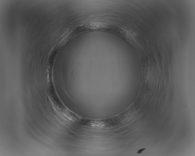 X0000051240214200507011634