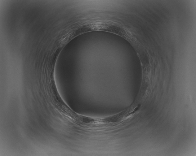 X0000051240219200507011634