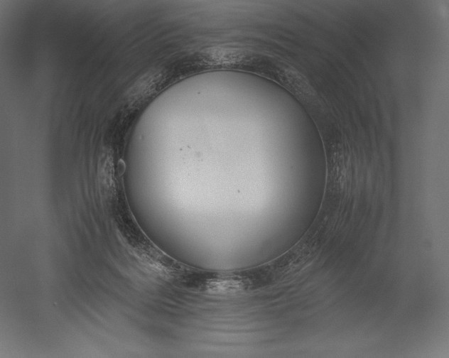 X0000051240220200507011634