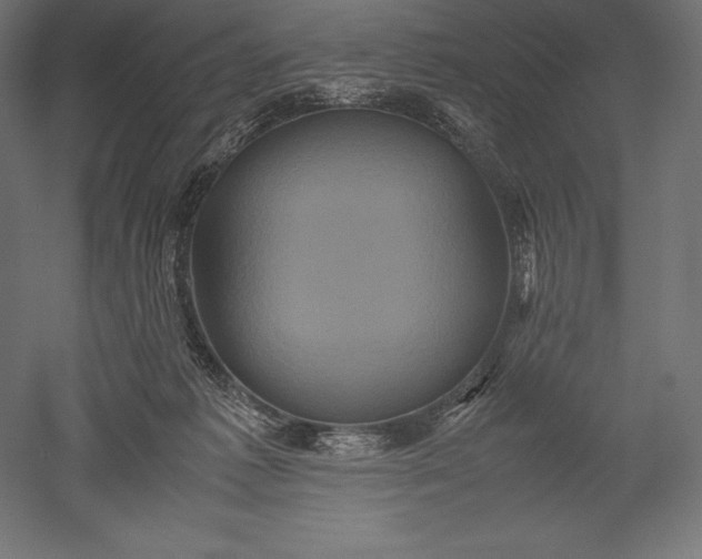 X0000051240221200507011634