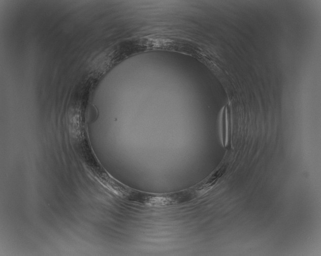 X0000051240222200507011634