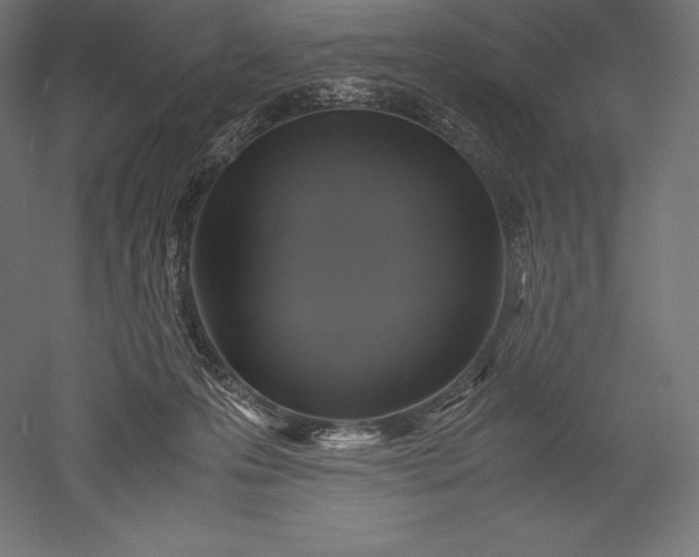 X0000051240223200507011634