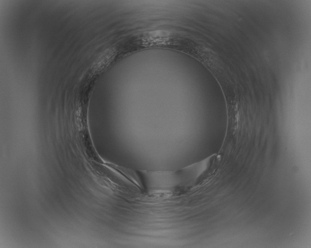 X0000051240224200507011634