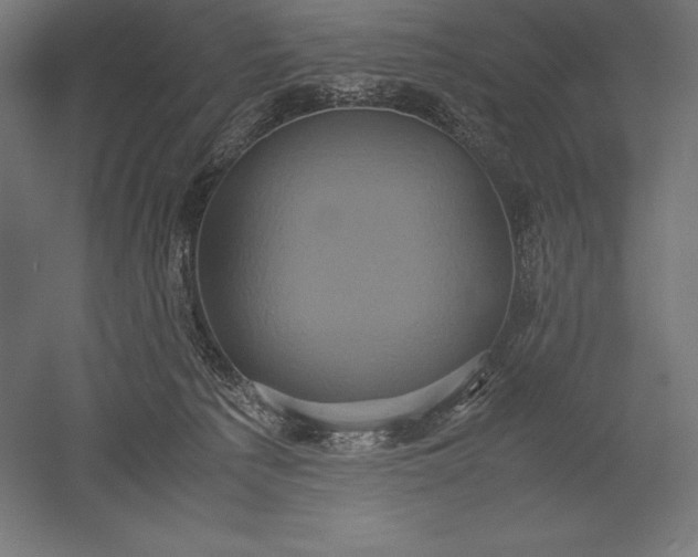 X0000051240225200507011634