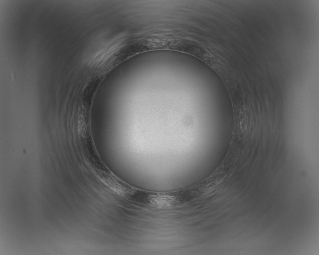 X0000051240226200507011634