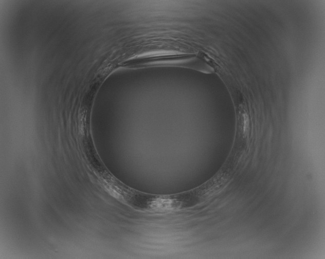 X0000051240227200507011634