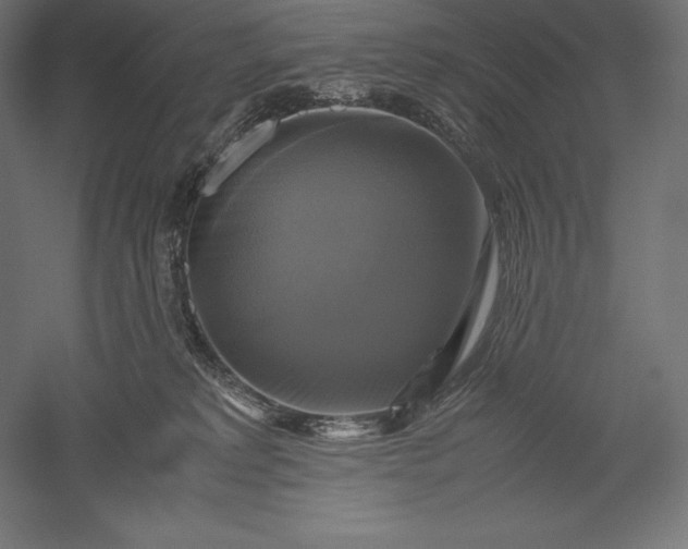 X0000051240229200507011634