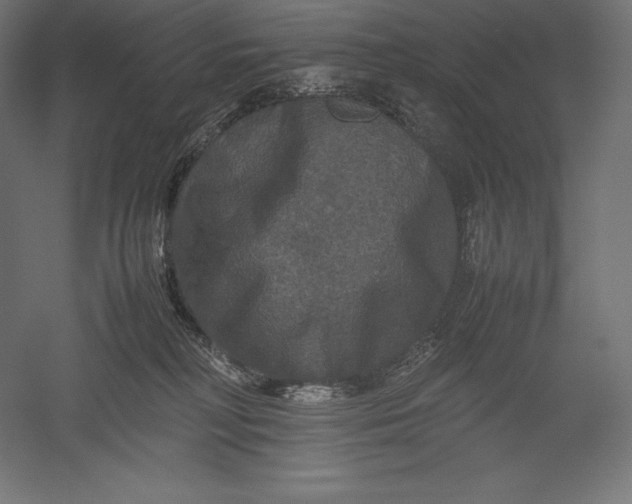 X0000051240230200507011634