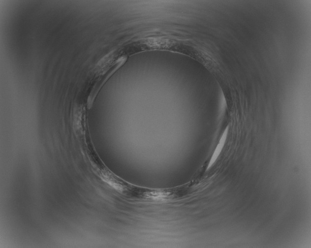 X0000051240233200507011634