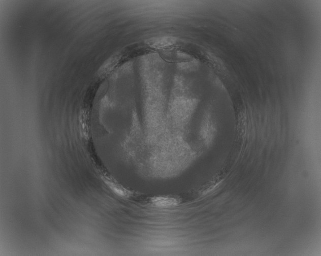 X0000051240234200507011634