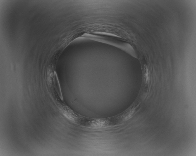 X0000051240235200507011634