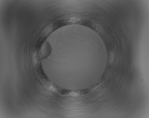 X0000051240236200507011634