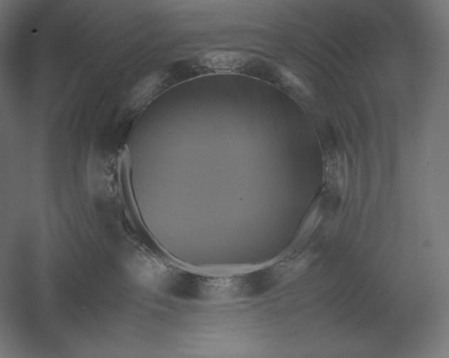 X0000051240237200507011634