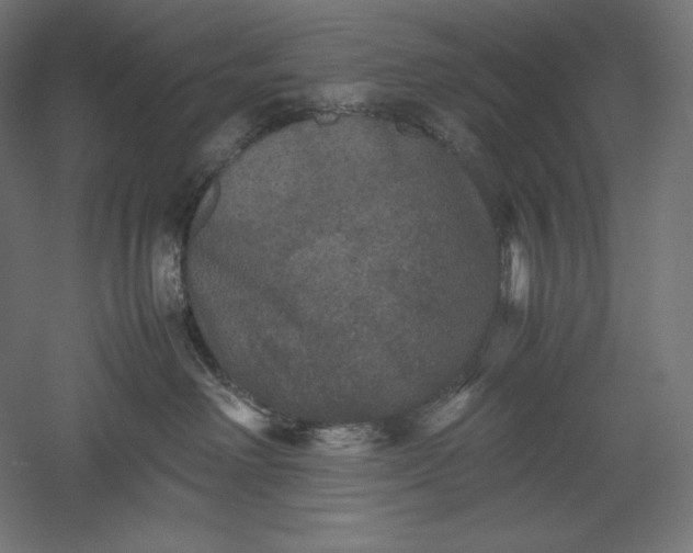 X0000051240238200507011634