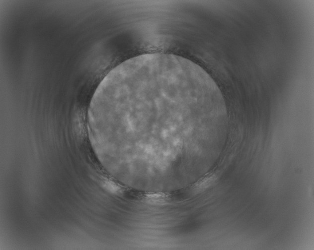 X0000051240240200507011634