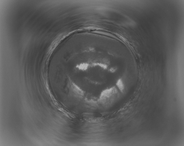 X0000051240241200507011633