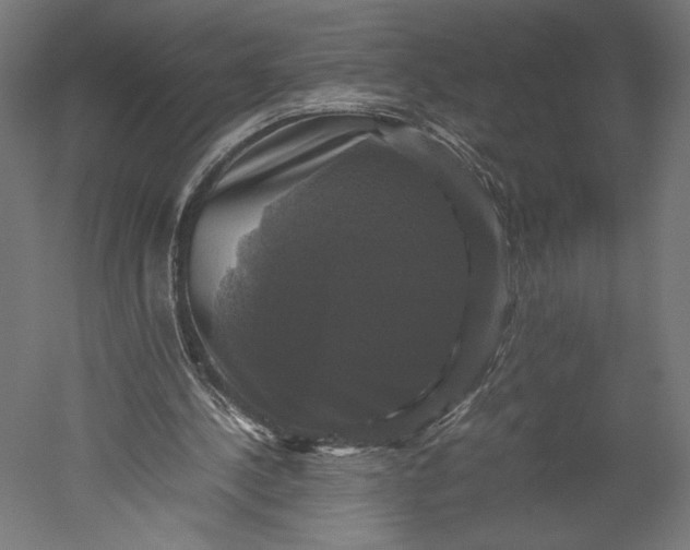 X0000051240244200507011633