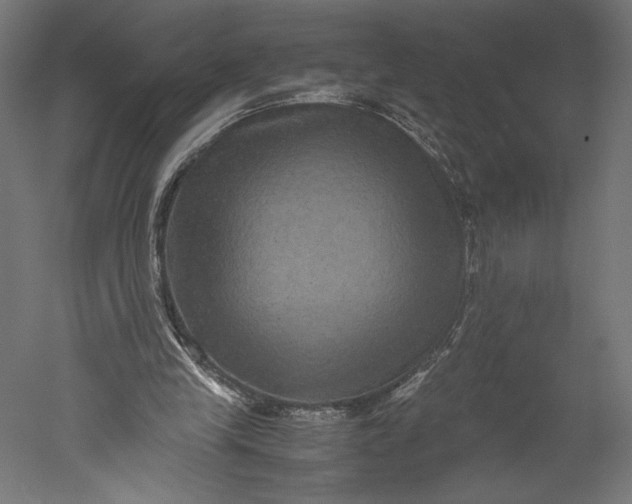 X0000051240245200507011633