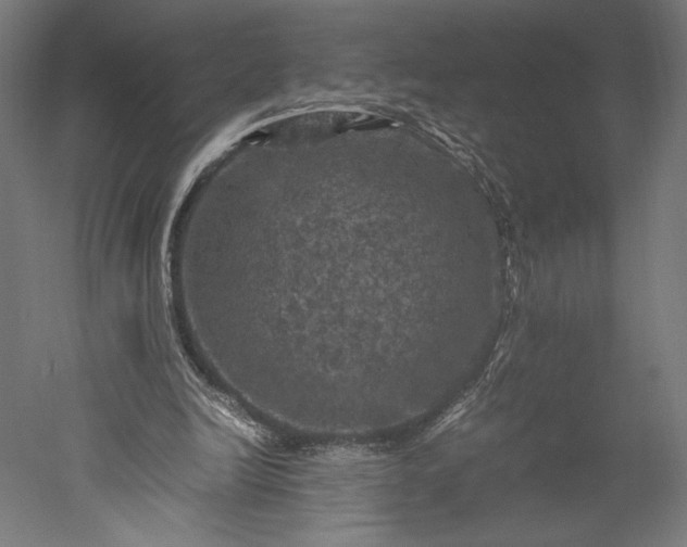 X0000051240246200507011633