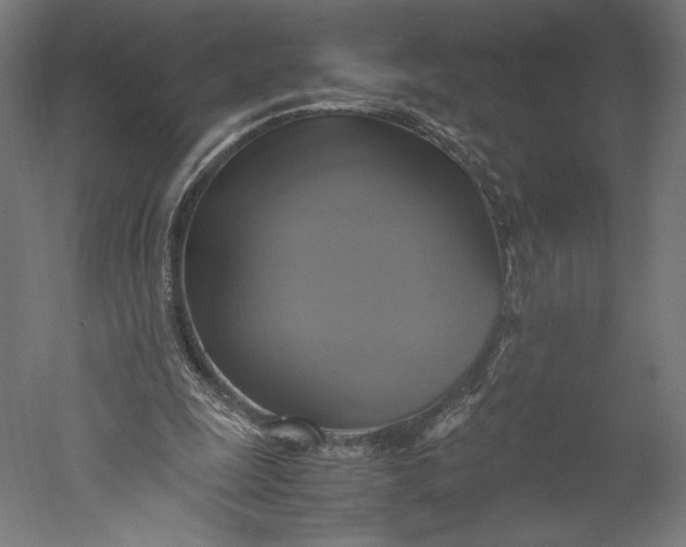 X0000051240247200507011633