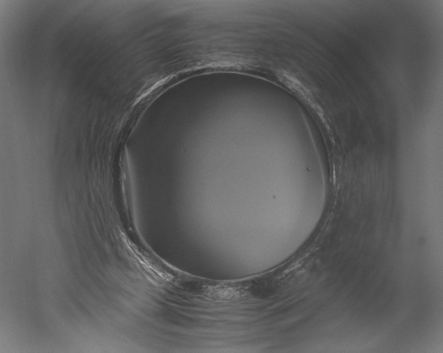 X0000051240249200507011633