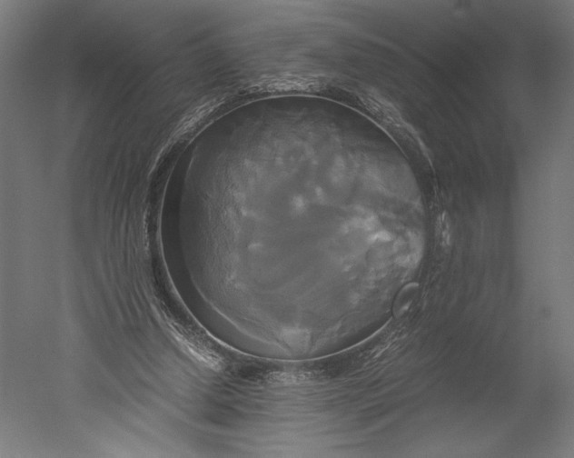 X0000051240250200507011633