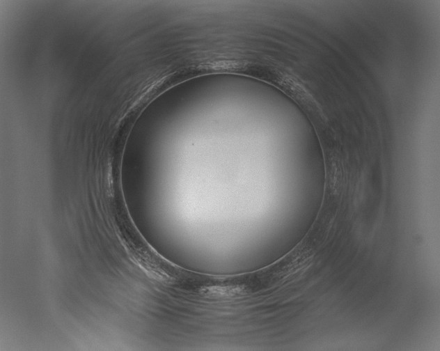 X0000051240251200507011633