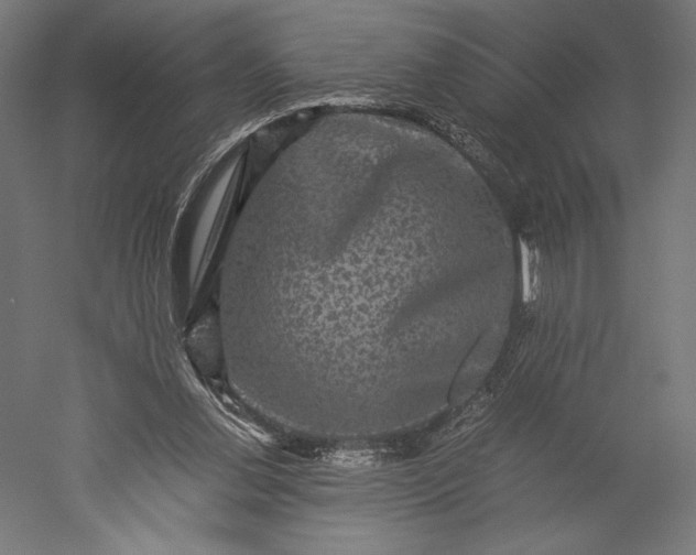 X0000051240252200507011633