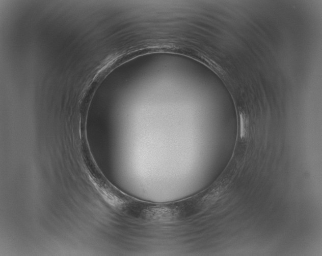 X0000051240253200507011633