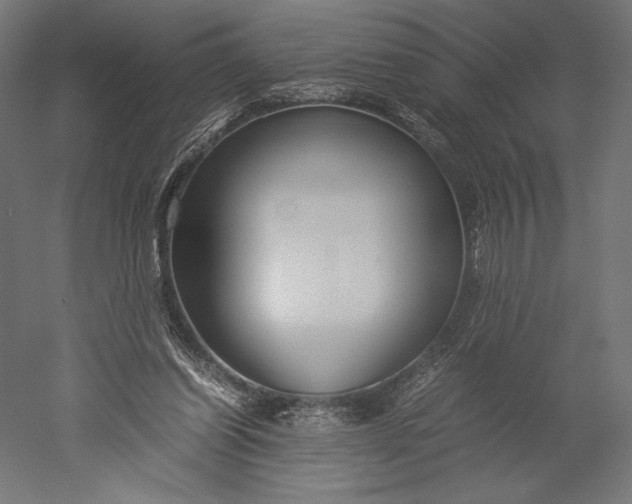 X0000051240254200507011633