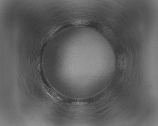 X0000051240255200507011633