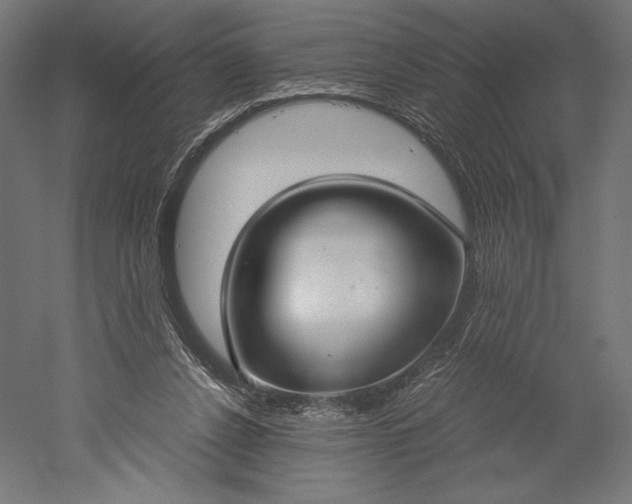 X0000051240256200507011633