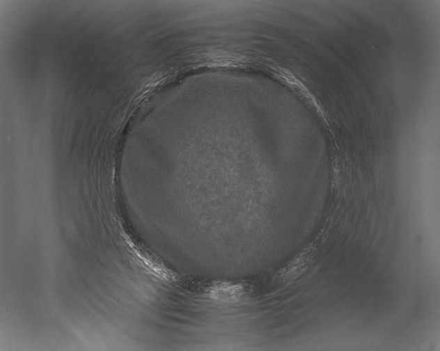 X0000051240257200507011634