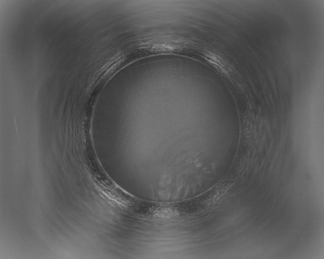 X0000051240258200507011634