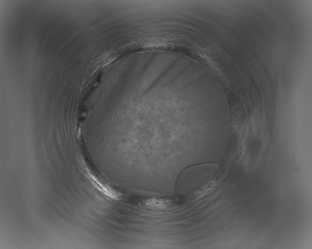 X0000051240261200507011634