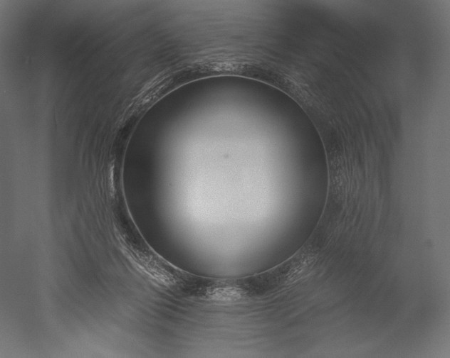 X0000051240262200507011634