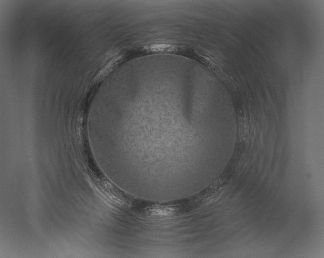 X0000051240263200507011634