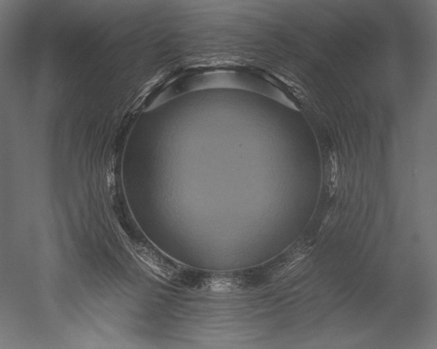 X0000051240264200507011634