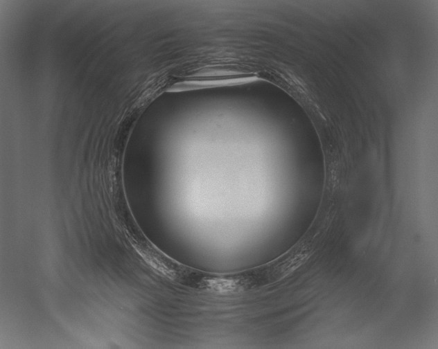 X0000051240265200507011634