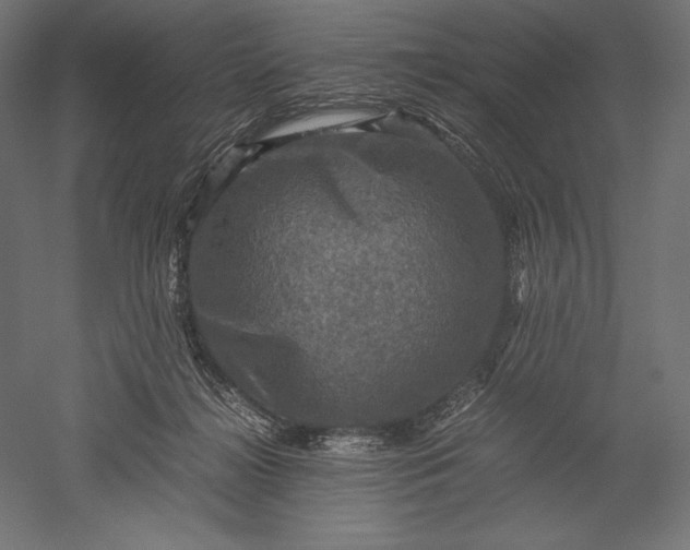 X0000051240268200507011634