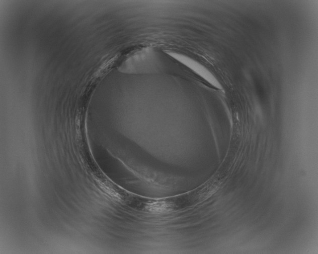 X0000051240269200507011634