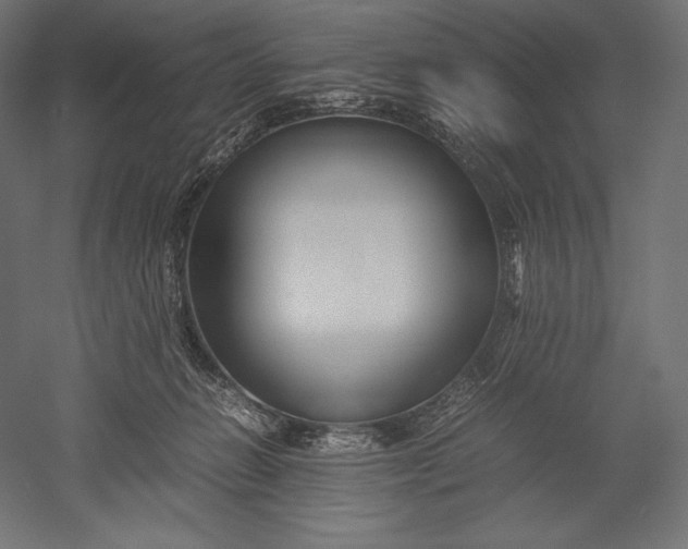 X0000051240270200507011634